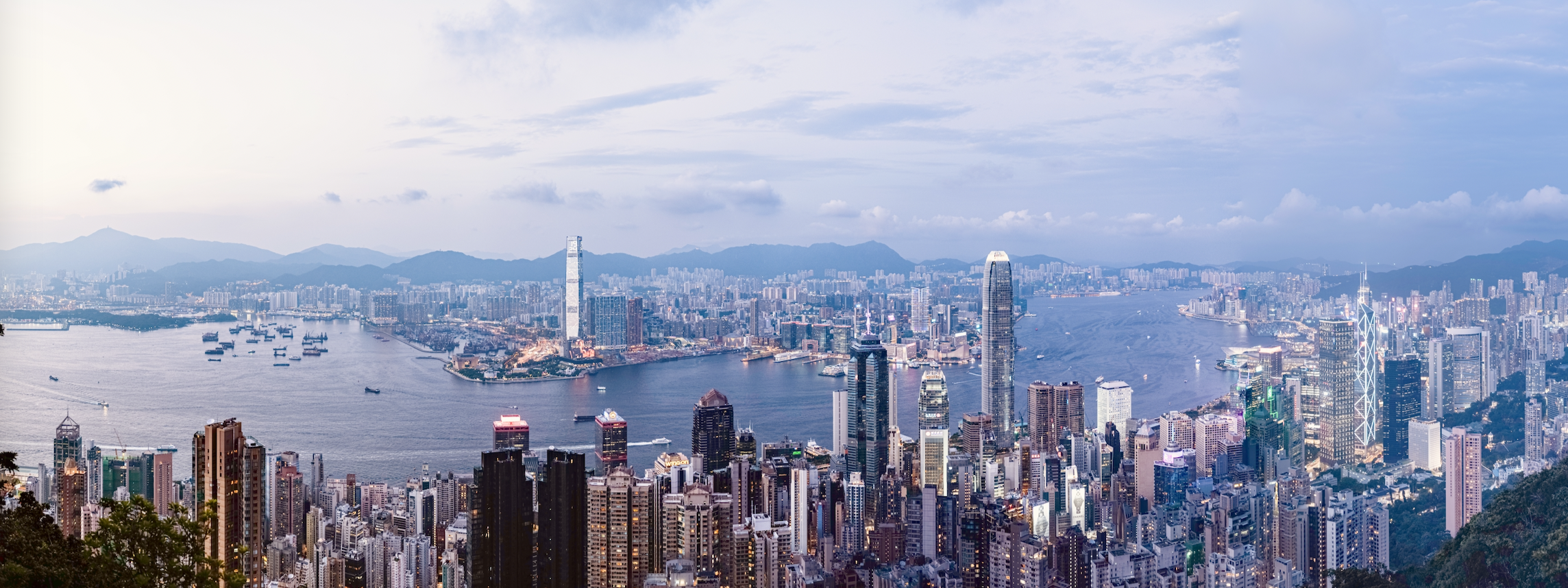 亚马逊热带雨林内部景观，茂密植被，河流蜿蜒，生物多样性丰富