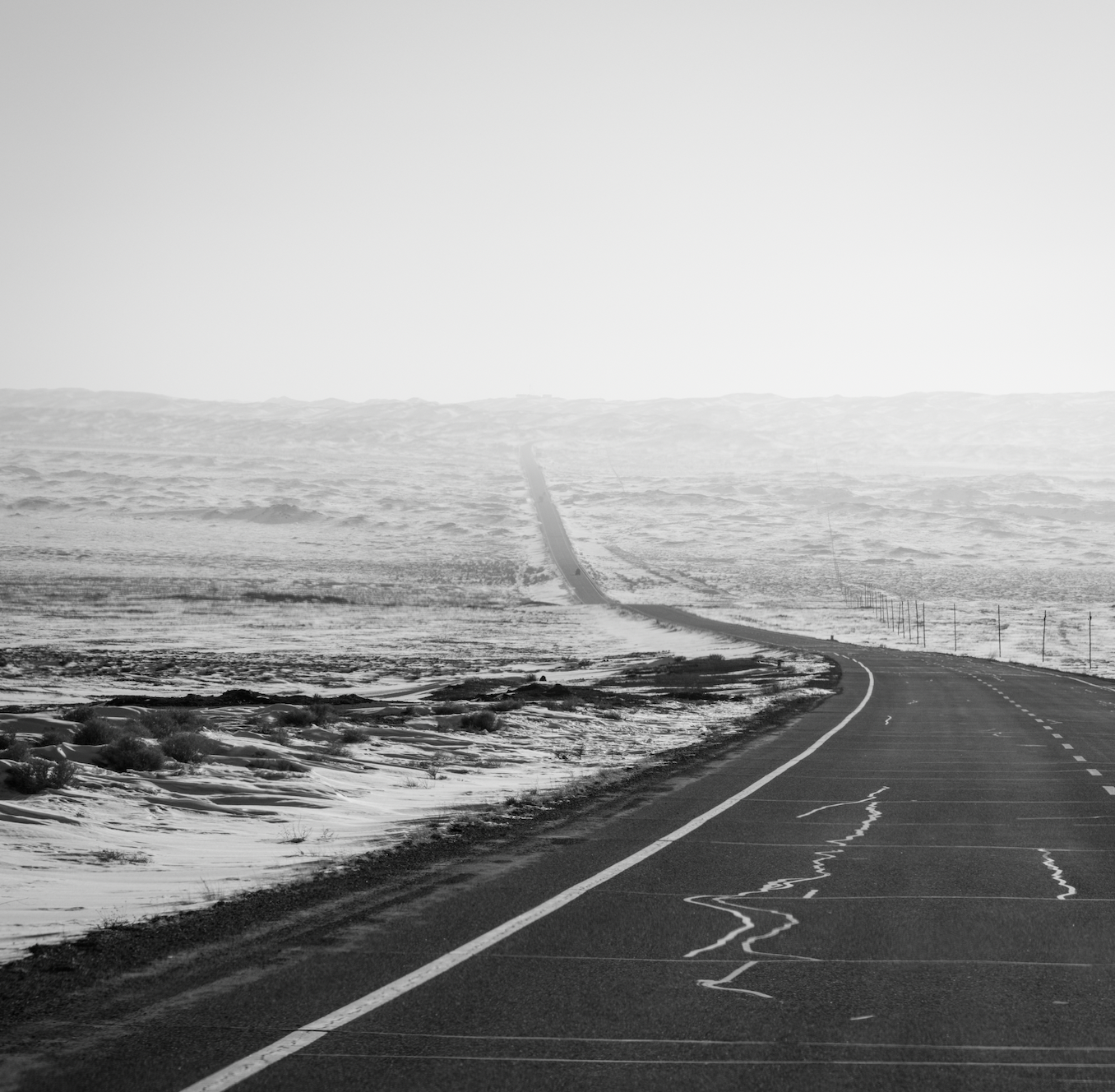 森林小径延伸至远方，阳光透过树叶洒下斑驳光影，宁静自然氛围